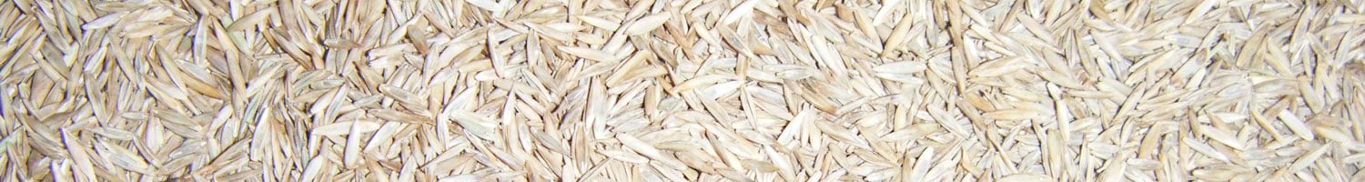 Semillas de césped